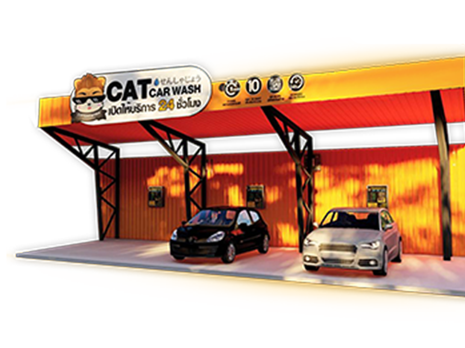 Shop-catcarwash